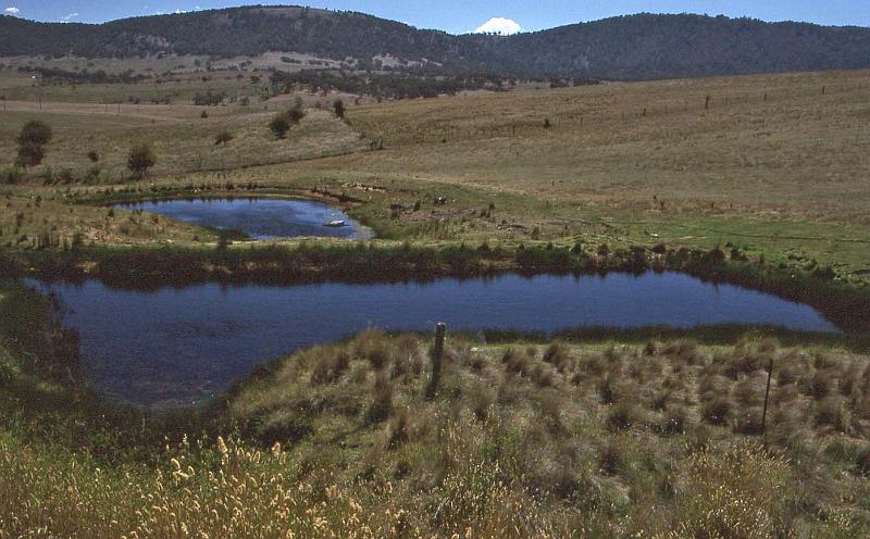 WT 0400 066-26 Australia.jpg